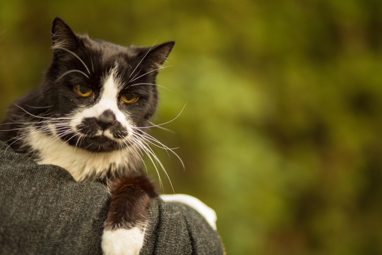 Barnett Photography Kelowna Best Photographers Engagement Westbank-46